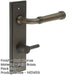 Elegant Dark Bronze Door Handle with Backplate Bathrooms Solid Brass Interior Handle (8)-1