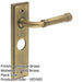 Elegant Antique Brass Door Handle with Backplate Bathroom Solid Brass Interior Handle-1