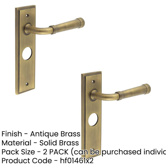PACK Elegant Antique Brass Door Handle with Backplate Bathroom Solid Brass Interior Handle (1)-1