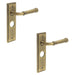 PACK Elegant Antique Brass Door Handle with Backplate Bathroom Solid Brass Interior Handle (1)