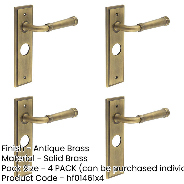 PACK Elegant Antique Brass Door Handle with Backplate Bathroom Solid Brass Interior Handle-1