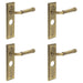 PACK Elegant Antique Brass Door Handle with Backplate Bathroom Solid Brass Interior Handle