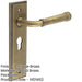 Elegant Antique Brass Euro Backplate Door Handle Luxury Homes Solid Brass Interior Handle-1