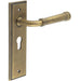 Elegant Antique Brass Euro Backplate Door Handle Luxury Homes Solid Brass Interior Handle