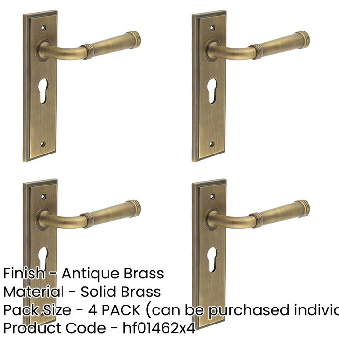 PACK Elegant Antique Brass Euro Backplate Door Handle Luxury Homes Solid Brass Interior Handle-1