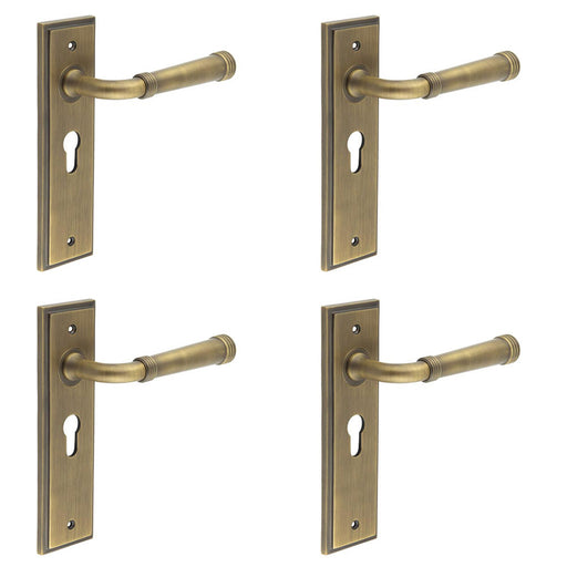 PACK Elegant Antique Brass Euro Backplate Door Handle Luxury Homes Solid Brass Interior Handle