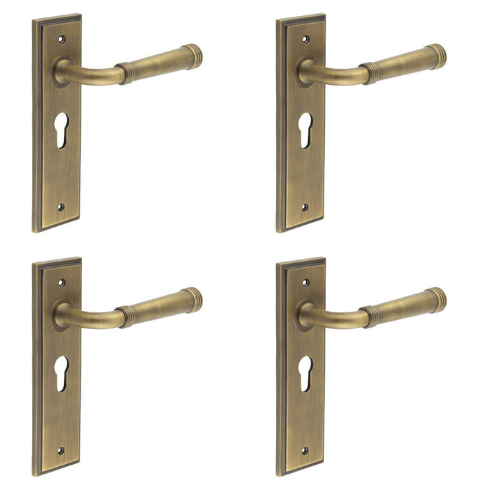 PACK Elegant Antique Brass Euro Backplate Door Handle Luxury Homes Solid Brass Interior Handle