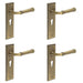 PACK Elegant Antique Brass Euro Backplate Door Handle Luxury Homes Solid Brass Interior Handle