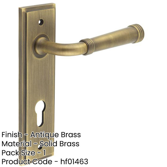 Elegant Satin Brass Euro Backplate Door Handle Luxury Homes Solid Brass Interior Handle-1