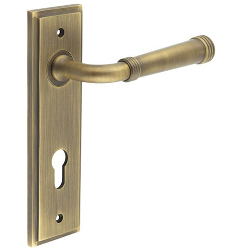 Elegant Satin Brass Euro Backplate Door Handle Luxury Homes Solid Brass Interior Handle