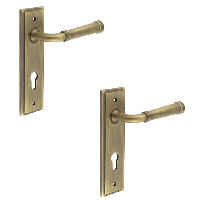 PACK Elegant Satin Brass Euro Backplate Door Handle Luxury Homes Solid Brass Interior Handle (1)