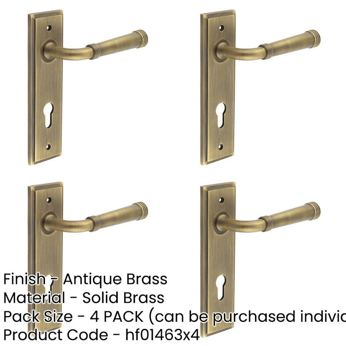 PACK Elegant Satin Brass Euro Backplate Door Handle Luxury Homes Solid Brass Interior Handle-1