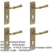 PACK Elegant Satin Brass Euro Backplate Door Handle Luxury Homes Solid Brass Interior Handle-1