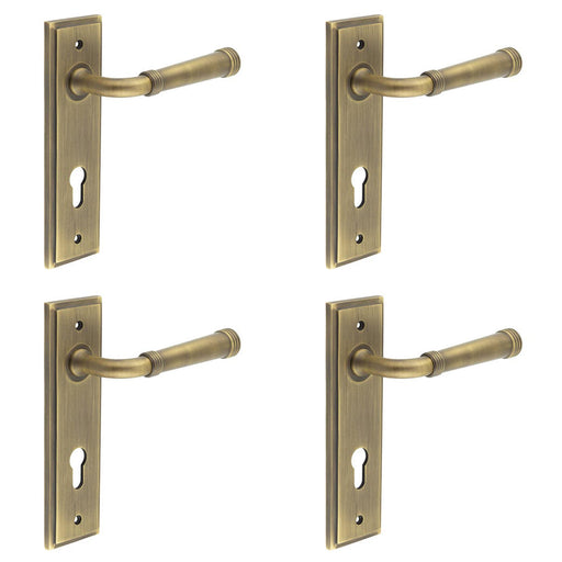 PACK Elegant Satin Brass Euro Backplate Door Handle Luxury Homes Solid Brass Interior Handle