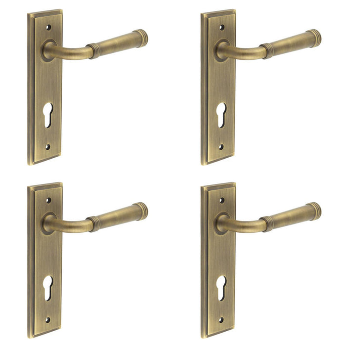 PACK Elegant Satin Brass Euro Backplate Door Handle Luxury Homes Solid Brass Interior Handle