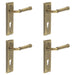 PACK Elegant Satin Brass Euro Backplate Door Handle Luxury Homes Solid Brass Interior Handle