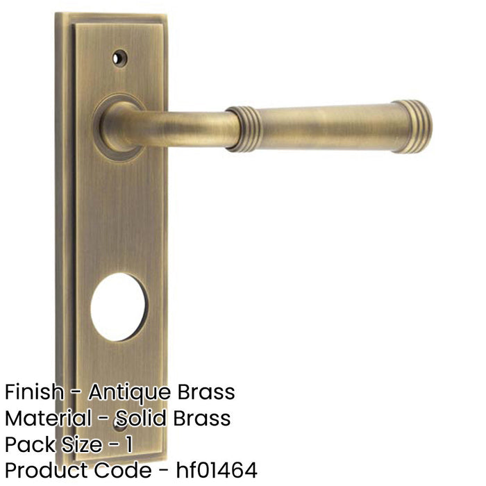 Antique Brass Bathroom Door Handle with Backplate Luxury Design Solid Brass Interior Handle-1