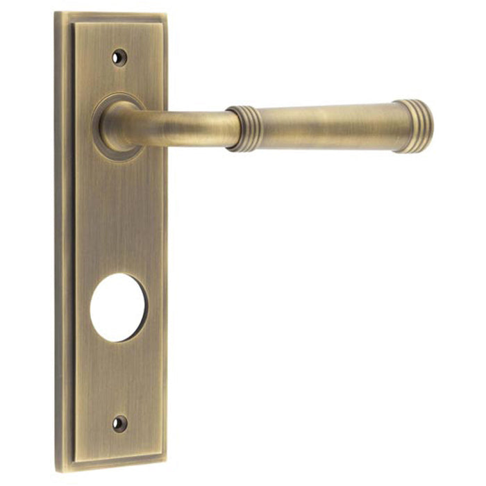 Antique Brass Bathroom Door Handle with Backplate Luxury Design Solid Brass Interior Handle