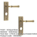 PACK Antique Brass Bathroom Door Handle with Backplate Luxury Design Solid Brass Interior Handle (1)-1