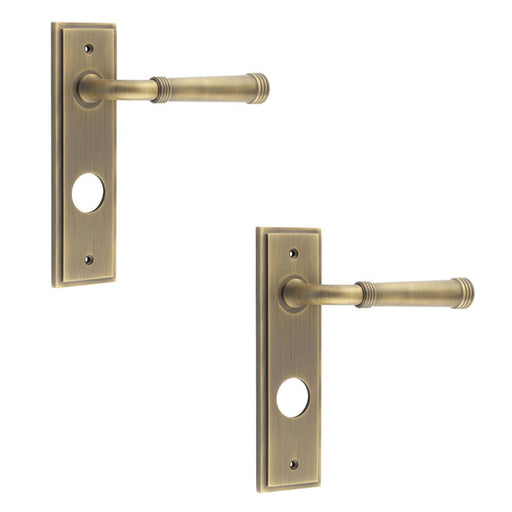 PACK Antique Brass Bathroom Door Handle with Backplate Luxury Design Solid Brass Interior Handle (1)