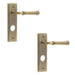 PACK Antique Brass Bathroom Door Handle with Backplate Luxury Design Solid Brass Interior Handle (1)