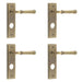 PACK Antique Brass Bathroom Door Handle with Backplate Luxury Design Solid Brass Interior Handle