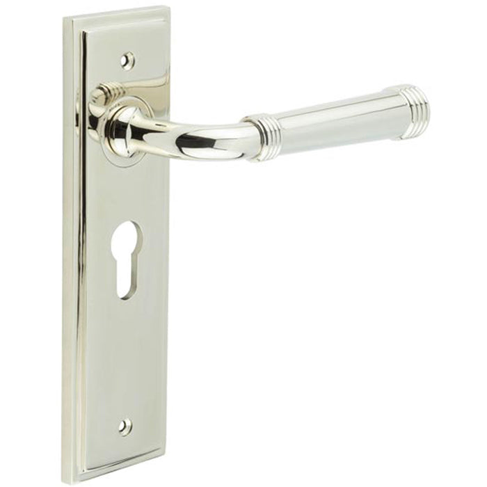 Elegant Polished Nickel Door Handle with Euro Backplate Solid Brass Interior Handle (4)