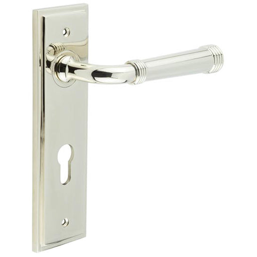 Elegant Polished Nickel Door Handle with Euro Backplate Solid Brass Interior Handle (5)