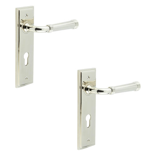 PACK Elegant Polished Nickel Door Handle with Euro Backplate Solid Brass Interior Handle (11)