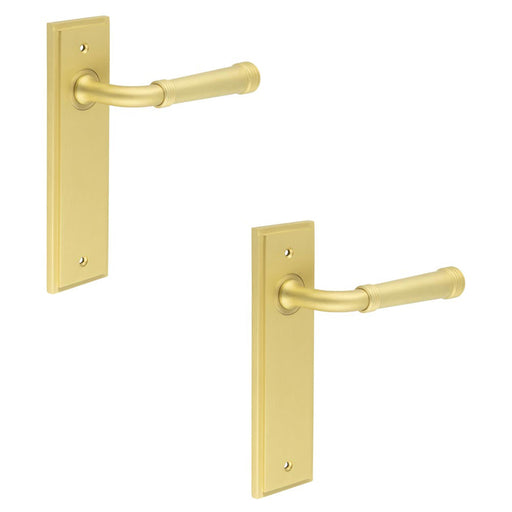 PACK Elegant Satin Brass Door Handle Latch with Versatile Backplate Options Solid Brass Interior Handle (1)