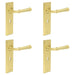 PACK Elegant Satin Brass Door Handle Lock Backplate Luxurious Interiors Solid Brass Interior Handle