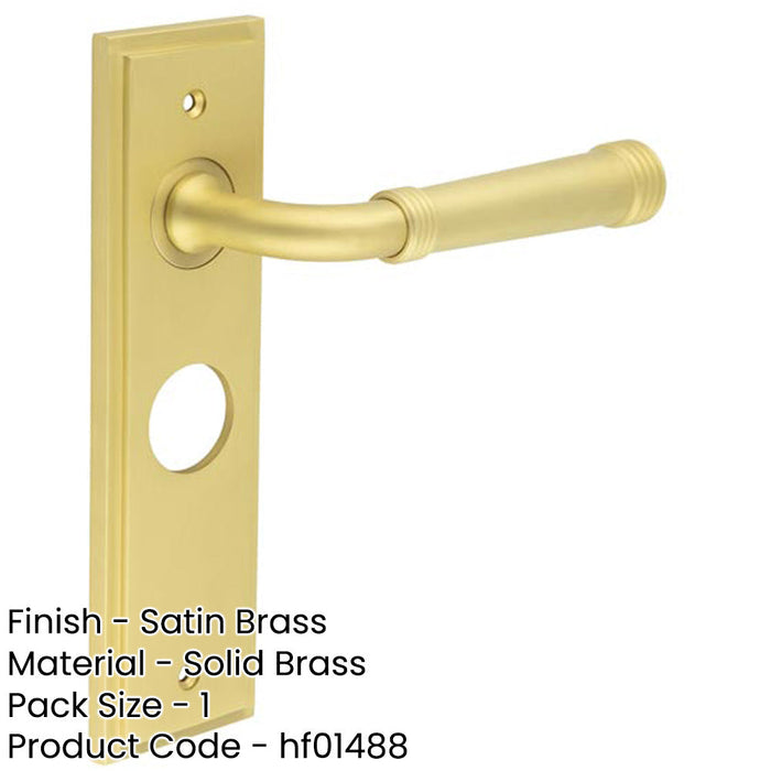 Satin Brass Bathroom Door Handle with Backplate Solid Brass Interior Handle (1)-1