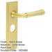 Satin Brass Bathroom Door Handle with Backplate Solid Brass Interior Handle (1)-1