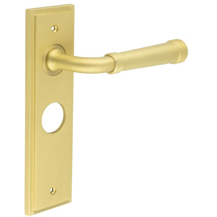 Satin Brass Bathroom Door Handle with Backplate Solid Brass Interior Handle (1)