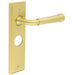 Satin Brass Bathroom Door Handle with Backplate Solid Brass Interior Handle (1)