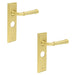 PACK Satin Brass Bathroom Door Handle with Backplate Solid Brass Interior Handle (3)