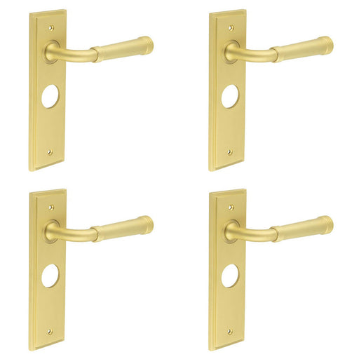 PACK Satin Brass Bathroom Door Handle with Backplate Solid Brass Interior Handle (1)