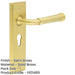 Elegant Satin Brass Door Handle with Euro Backplate Stylish Interiors Solid Brass Interior Handle-1