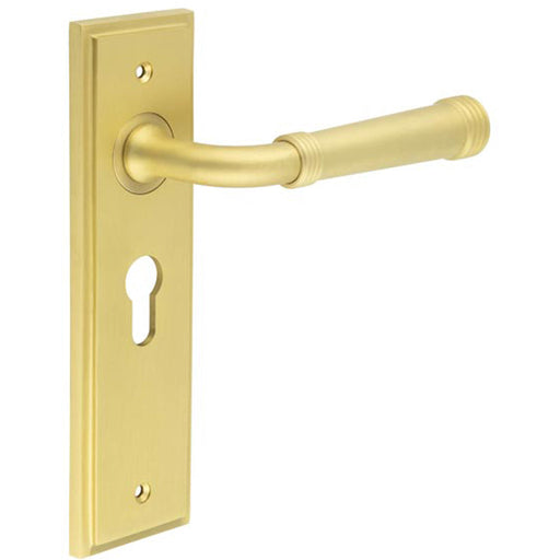 Elegant Satin Brass Door Handle with Euro Backplate Stylish Interiors Solid Brass Interior Handle