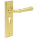 Elegant Satin Brass Door Handle with Euro Backplate Stylish Interiors Solid Brass Interior Handle