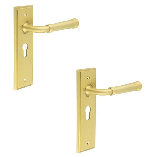 PACK Elegant Satin Brass Door Handle with Euro Backplate Stylish Interiors Solid Brass Interior Handle (1)