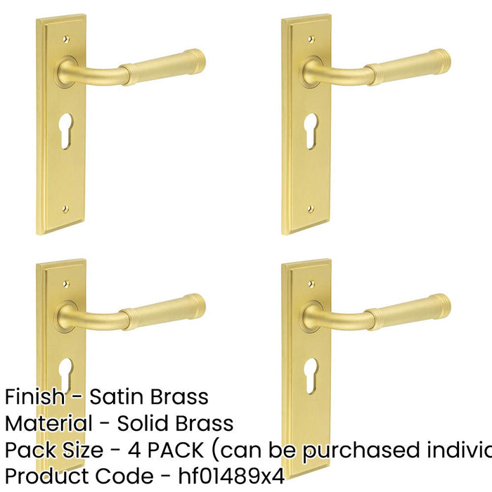 PACK Elegant Satin Brass Door Handle with Euro Backplate Stylish Interiors Solid Brass Interior Handle-1