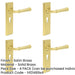 PACK Elegant Satin Brass Door Handle with Euro Backplate Stylish Interiors Solid Brass Interior Handle-1