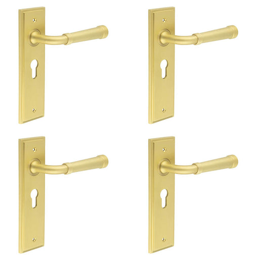 PACK Elegant Satin Brass Door Handle with Euro Backplate Stylish Interiors Solid Brass Interior Handle