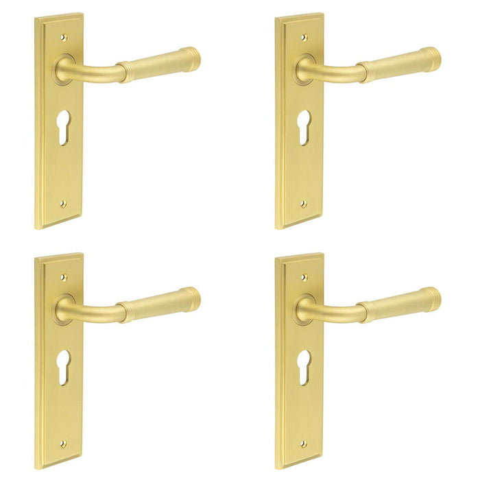 PACK Elegant Satin Brass Door Handle with Euro Backplate Stylish Interiors Solid Brass Interior Handle