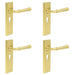 PACK Elegant Satin Brass Door Handle with Euro Backplate Stylish Interiors Solid Brass Interior Handle