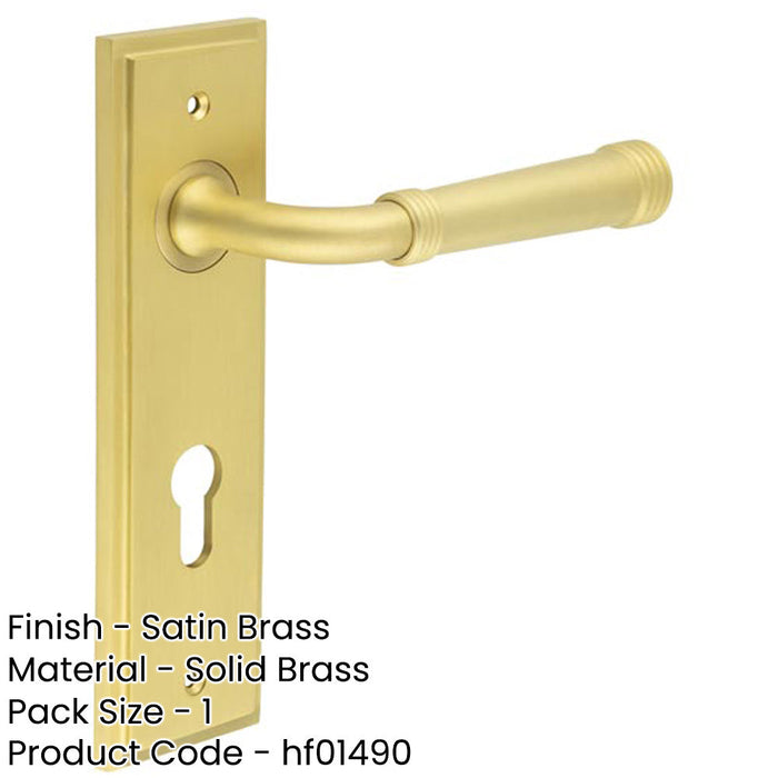 Luxury Satin Brass Door Handle with Euro Backplate Solid Brass Interior Handle-1