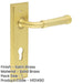 Luxury Satin Brass Door Handle with Euro Backplate Solid Brass Interior Handle-1