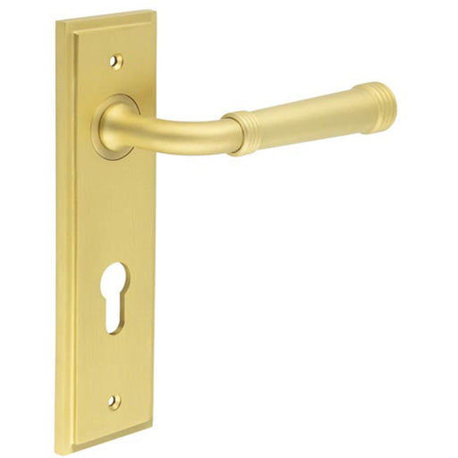 Luxury Satin Brass Door Handle with Euro Backplate Solid Brass Interior Handle