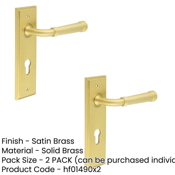 PACK Luxury Satin Brass Door Handle with Euro Backplate Solid Brass Interior Handle (1)-1